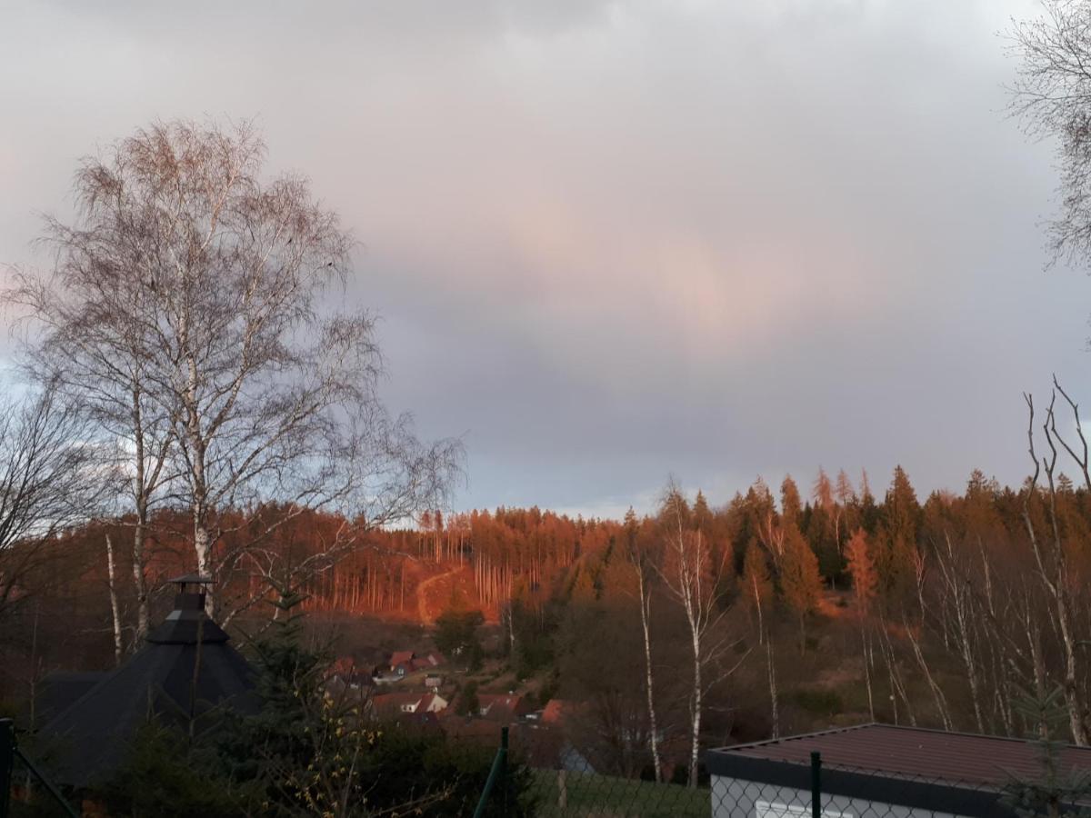 Behagliches Ferienhaus Zaunkoenig -Mit Kamin Und Sauna Tanne Eksteriør billede